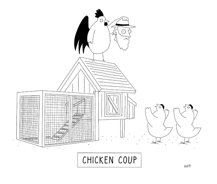 chicken-coup-seth-fleishman.jpg