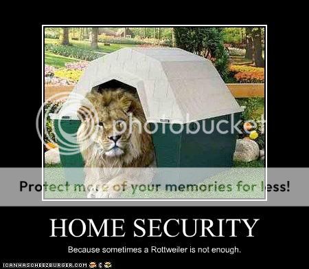 funny-pictures-lion-secures-your-ho.jpg