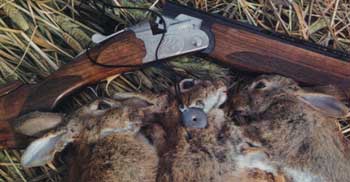 shotguns-and-rabbits_1.jpg