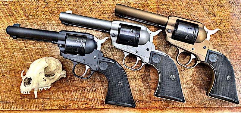 Think-Ruger-1.jpg