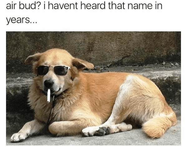 air-bud.png