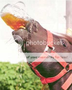 beer_drinking_horse.jpg