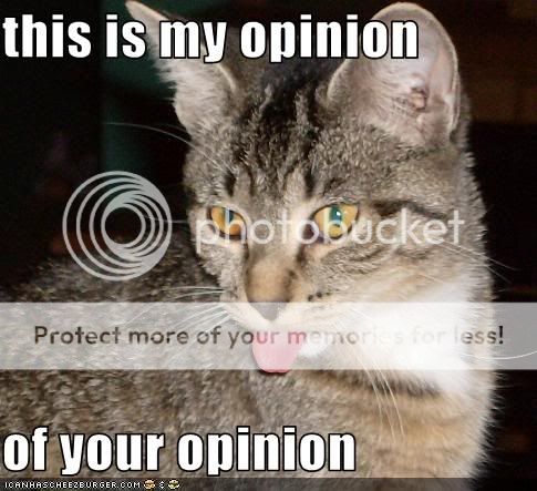 cat-hates-your-opinion.jpg