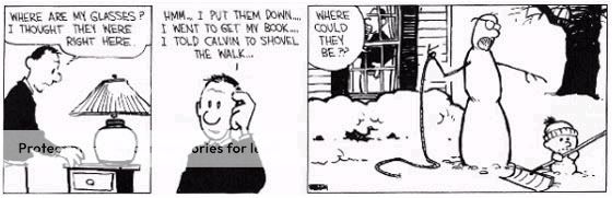 calvin7.jpg