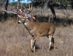 armed%20deer_zps1khlmaos.jpg