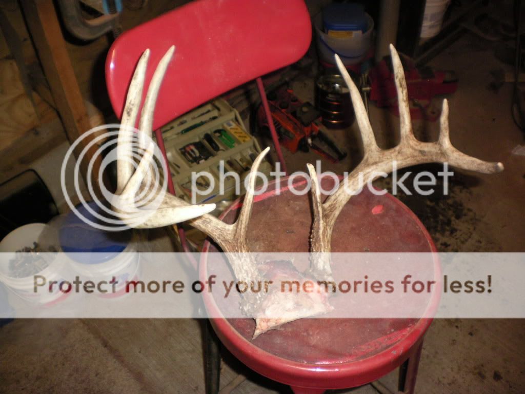 moultriedec2011123.jpg