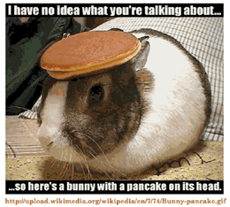 20091119-pancakebunny.gif