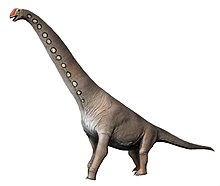 220px-Brachiosaurus_NT_new.jpg