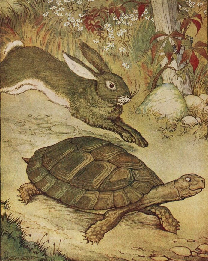 Tortoise_and__Hare_Gutenberg_19994.jpg