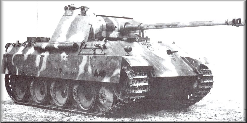 PantherG-14.jpg