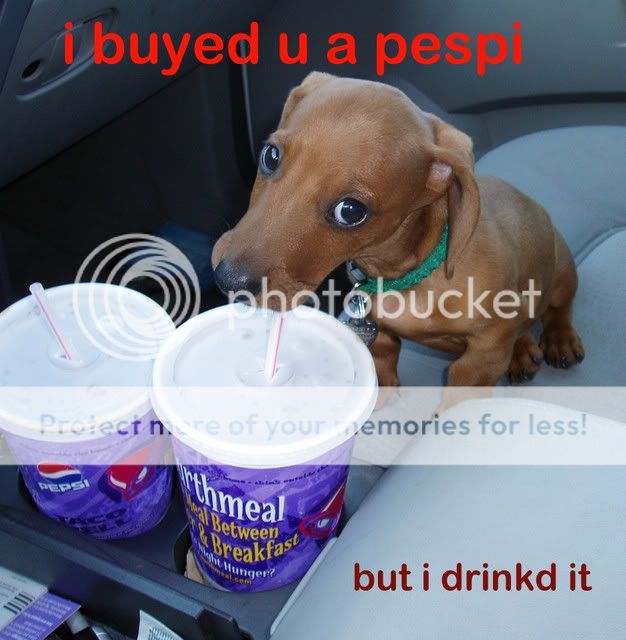 hund-pepsi.jpg