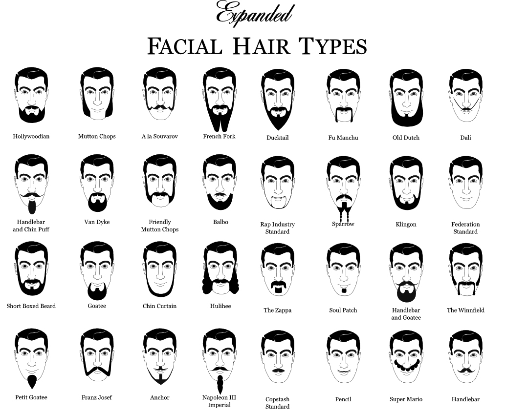 beardtypes1.jpg