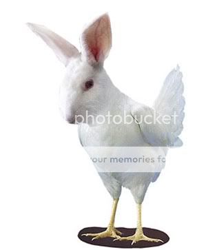 rabbit_chicken_hybrid_day_by_wikki3.jpg