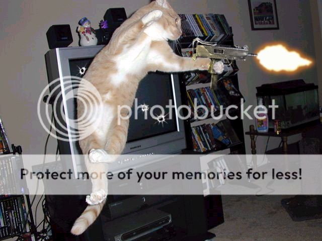 funnyanimalswithguns4.jpg