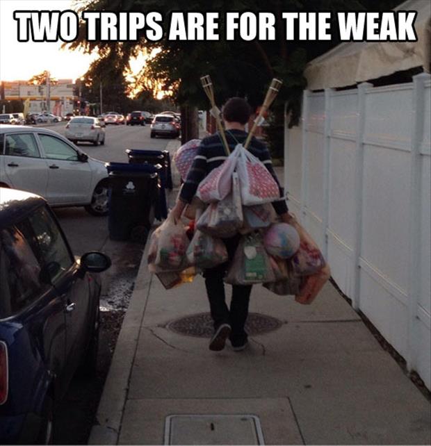 carrying-in-the-groceries.jpg