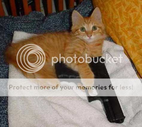 cat_with_gun_by_Resident_evil_nerd.jpg